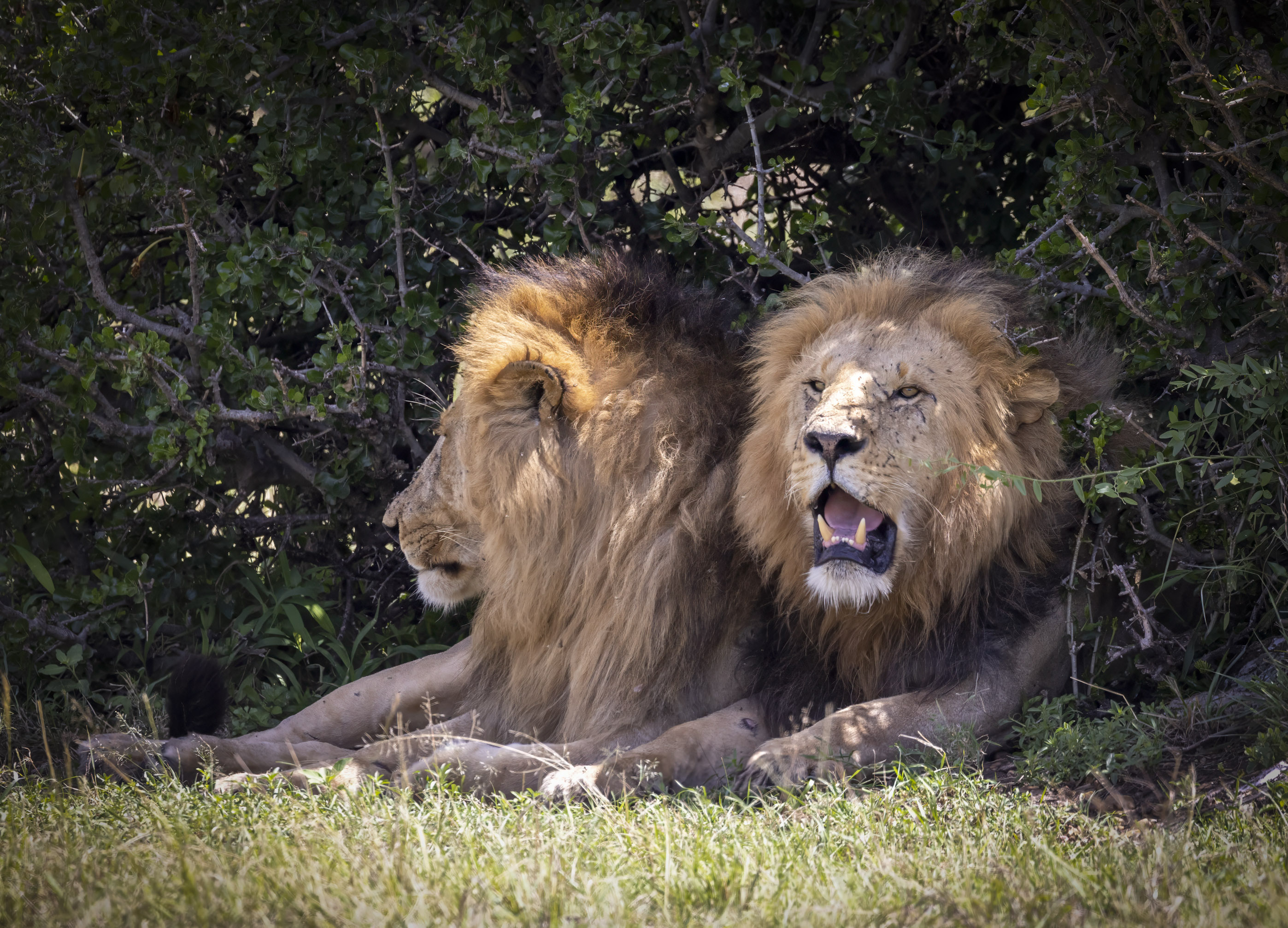 November 11, 2022-103738-2-Edit.jpg